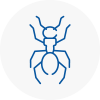 Ant Removals In Shropshire