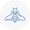 Bee Nest Removal Shropshire