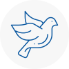 Bird Prevention Shropshire