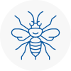 Shropshire Hornet Nest Removals