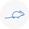 Mice Exterminators In Shropshire