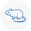 Rat Control Shropshire