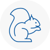 Shropshire Rodent Removals