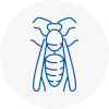 Shropshire Wasp Nest Removal